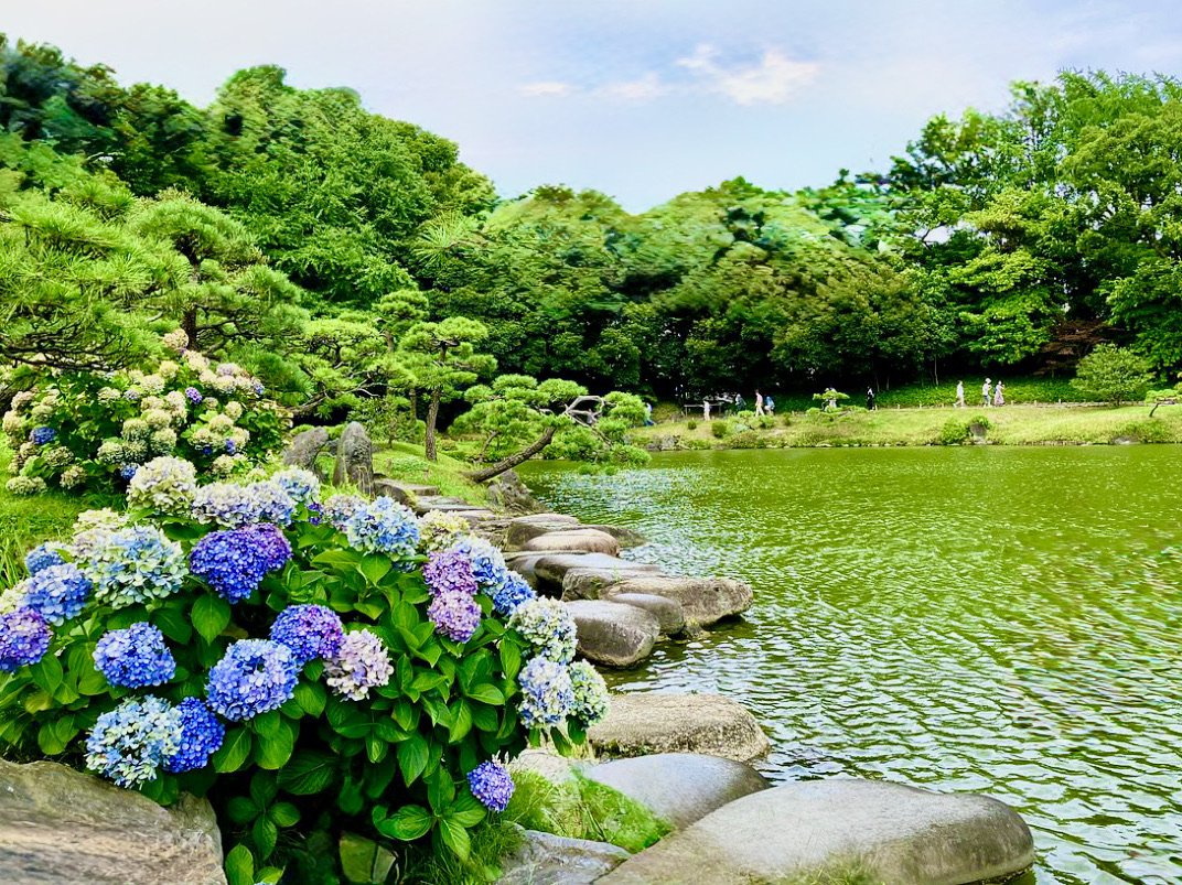 🌳 시오이리 공원 이미지 8